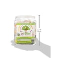 thumbnail image 5 of Tree Hugger Bubble Gum, Citrus Berry, 120 Count, 5 of 7