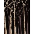 thumbnail image 2 of Reynolds, Jade 15x18 Gold Ornate Wood Framed with Double Matting Museum Art Print Titled - Midnight Birches II, 2 of 4