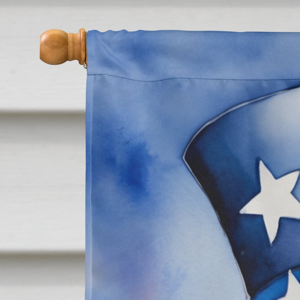 Cavalier Spaniel Patriotic American House Flag 28 in x 40 in