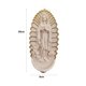 thumbnail image 3 of escultura religiosa Hugo Figurilla Virgen María, 3 of 8