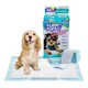 thumbnail image 1 of Pañal Almohadillas De Entrenamiento Para Perros Y Gatos 40pz, 1 of 2
