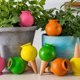thumbnail image 4 of Juego de 4, Gotero para plantas y maceteros de interior, Globo de riego, Amarillo, Verde, Rosa, Naranja, 4 of 5