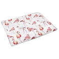 thumbnail image 2 of MKHERT Watercolor Pink Flamingo Birds Doormat Rug Home Decor Floor Mat Bath Mat 30x18 inch, 2 of 3
