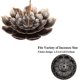 thumbnail image 2 of Incense Burner - Lotus Stick Incense Holder 5 Incense Holes With Detachable Ash Catcher, 2 of 5