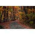 thumbnail image 2 of Autumn Country Road Wall Decal by Wallmonkeys WM163808 (48 in W x 32 in H), 2 of 4