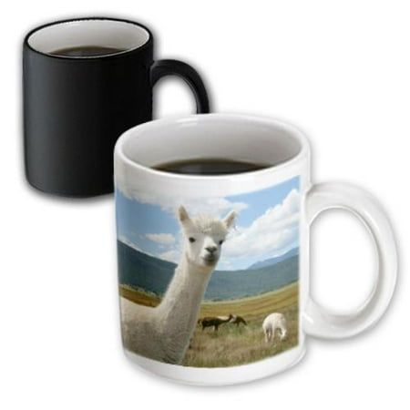 Moab Colorado Fiber 3dRose Colorado River, Canyonlands, Dead Horse SP, Moab Utah - US45 CHA0289 - Chuck Haney, Magic Transforming Mug, 11oz ()