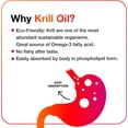 thumbnail image 2 of MegaRed Superior Omega-3 Krill Oil Softgels, 500 Mg, 90 Ct, 2 of 5