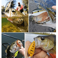 thumbnail image 4 of Señuelos de Pesca para Bajo Duro Realista BLOOSOM 8pcs, 4 of 4
