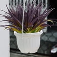 thumbnail image 4 of ZOELNIC 4/8Pcs Artificial Grass Plants Outdoor UV Resistant Fake Faux Greenery Stems for Home Window Garden Office Patio Pathway Front Porch Garden Decor, 4 of 7