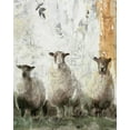 thumbnail image 2 of Stellar Design Studio 20x24 Black Ornate Wood Framed with Double Matting Museum Art Print Titled - Three Sheep, 2 of 4