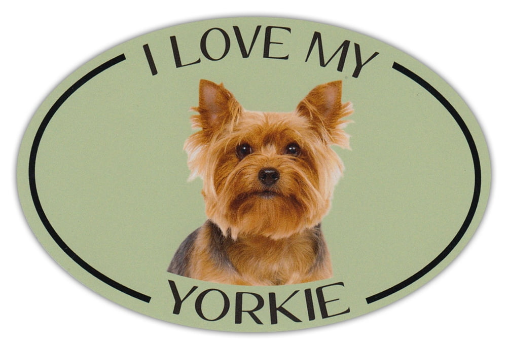 i love my yorkie