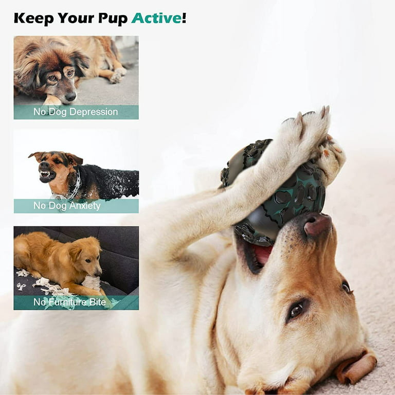 Toys to Keep Your Dog Active
