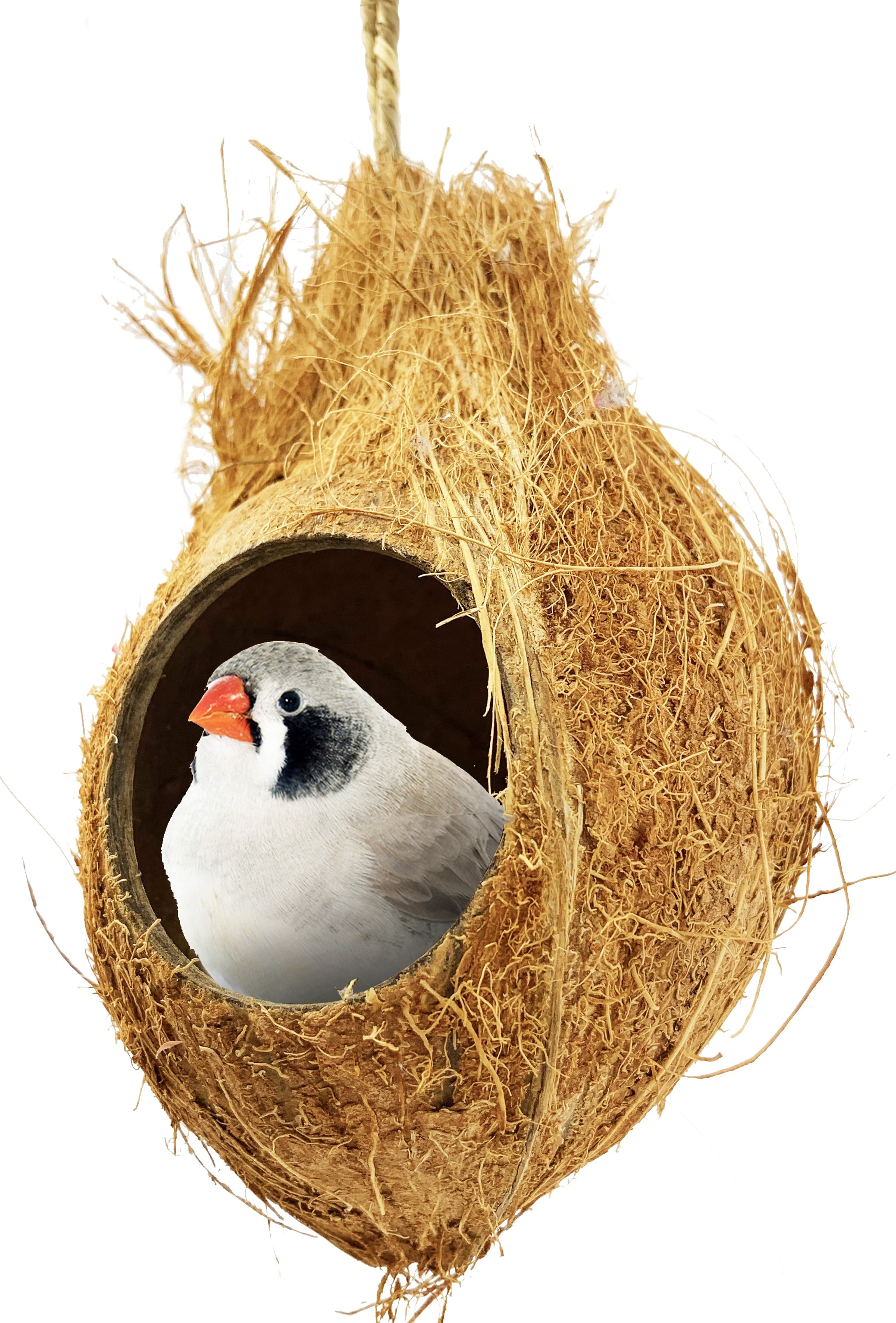 872 Coconut Hut Nesting Bird Toy