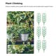 thumbnail image 3 of Bewildely ABS Soporte de plantas resistente y confiable para una escalada de plantas eficiente y saludable Accesorios de plantas duraderos Fácil Jardín y Patio solo10*34.5 cm 32g, 3 of 6
