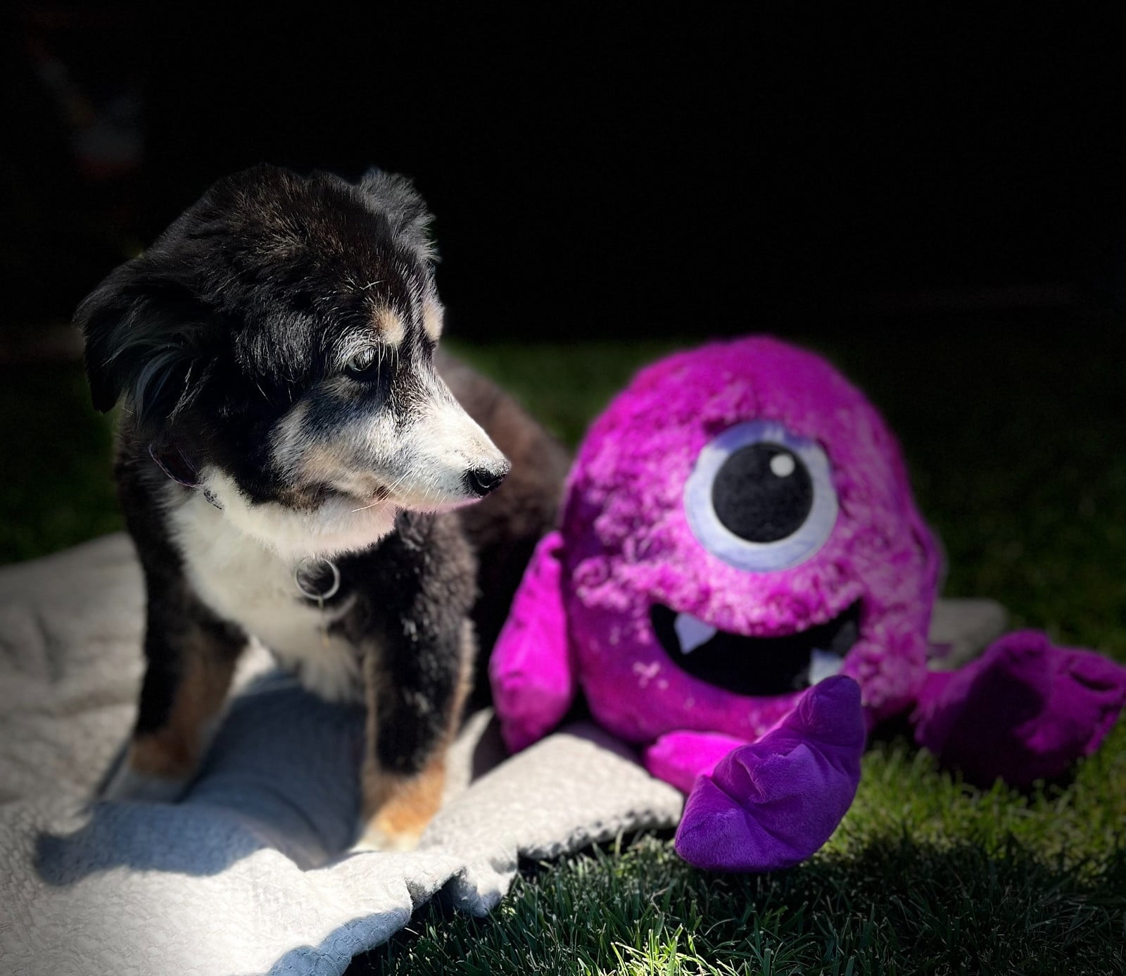 Big Dog Toys 18 Inch Jumbo Cuddle Monsters Soft Plush with Extra Large Squeaker (Orange Two Eyes)