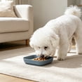 thumbnail image 2 of Leodye 1PCS Square Shallow Wide Pet Feeding Bowl Easy To Clean Food Water Snack Dish for Small Medium ss Dry Wet Food -5.71x5.71in, 2 of 6