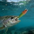thumbnail image 1 of Klonfd Soft Squid Hook Enhances Your, 1 of 4