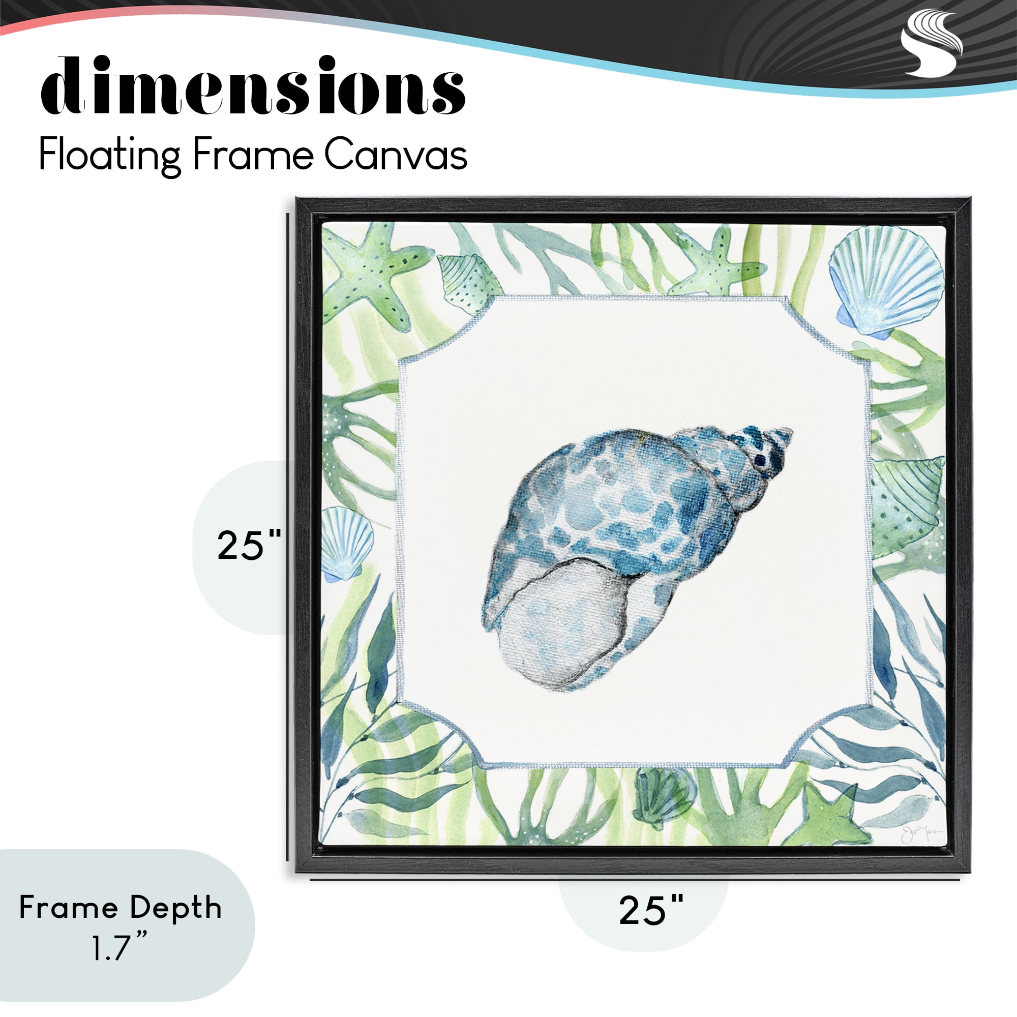 Stupell Industries Spotted Cowrie with Seaweed Black Framed Floater Canvas Wall Art, design by Janet Tava