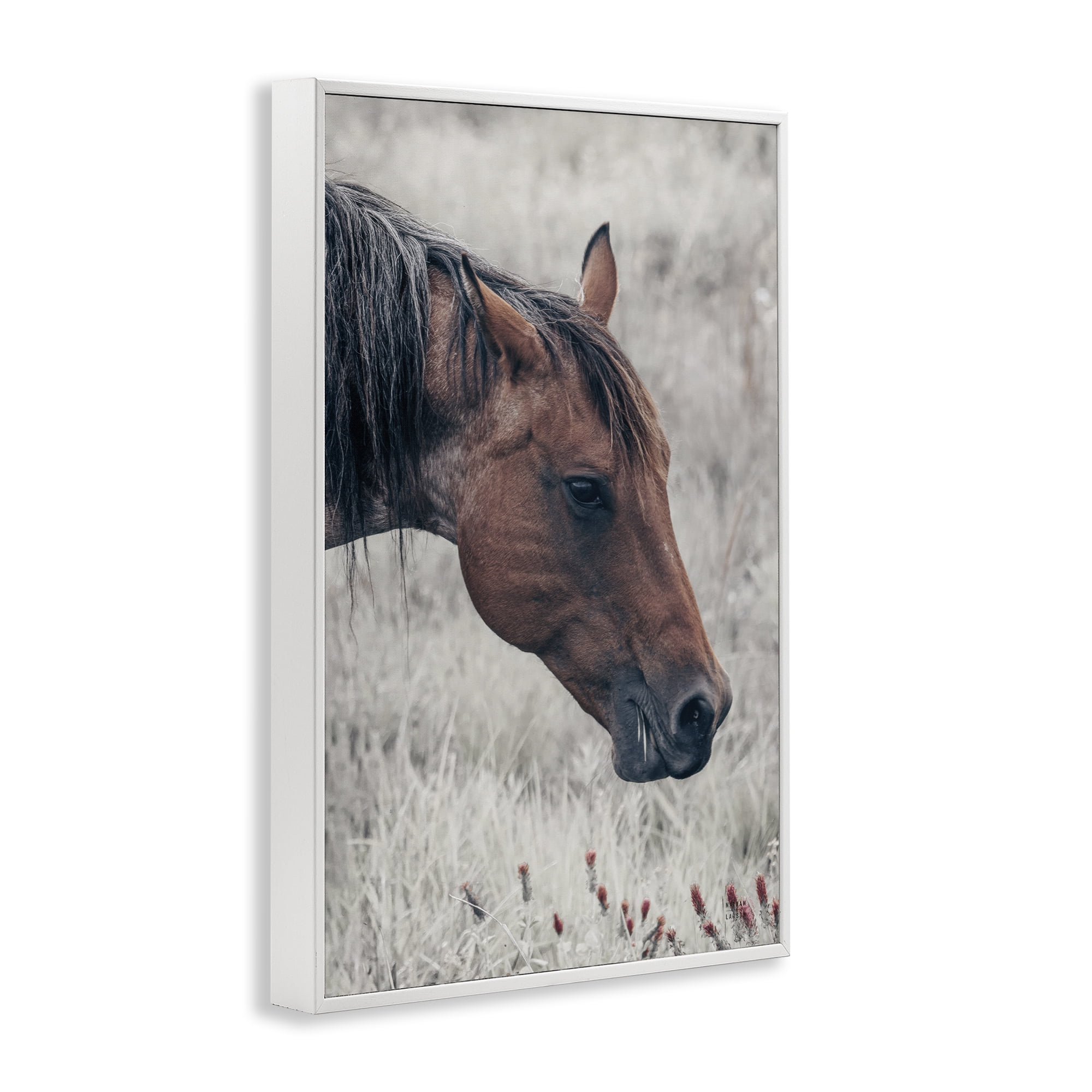 Stupell Industries Mother Horse Grazing in Meadow White Framed Giclee Art, design by Nathan Larson