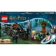 thumbnail image 2 of Set LEGO Harry Potter Carruaje y Thestrals de Hogwarts, 2 of 4