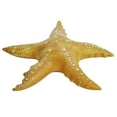 thumbnail image 3 of Jet Creations Starfish 20 in H, 3 of 3