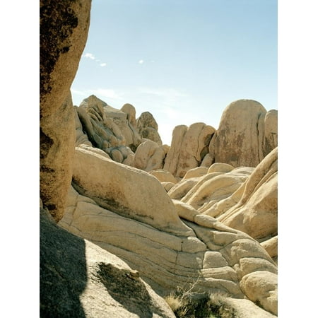 Stones, Joshua Tree National Park in southern california Print Wall Art By (Best Small Shade Trees Southern California)