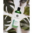 thumbnail image 2 of Pack of 3, Millcreek Botanicals Biotin Shampoo, 14 oz, 2 of 2