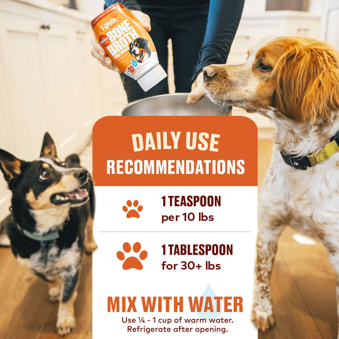 Furvor Chicken Broth for Dogs, Bone Broth Collagen Protein, 12 oz