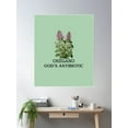 thumbnail image 2 of Oregano God’S Antibiotic Gift For Herbalist Poster Wall Art, Modern Wall Decor For Living Room Bedroom, 16x24 UNFRAMED, 2 of 3