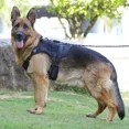 thumbnail image 3 of Táctico Pechera Arnés Con Correa Para Perro Mediano Grande, 3 of 8