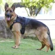 thumbnail image 3 of Táctico Pechera Arnés Con Correa Para Perro Mediano Grande, 3 of 8