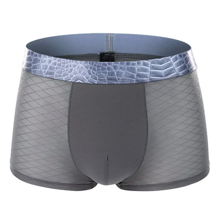 

BIZIZA Ice Silk Comfort Pouch Trunks for Men Breathable Male Briefs Soft Stretch Underwear Gray L