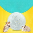 Interactive 4inch Clear Hamster Exercise Ball Adorable and Engaging