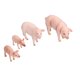 thumbnail image 1 of Pig Animals Model Figures Safe Reliable Farm Pig Model  for Improve Hands-On Ability for Training Logical Thinking ANGGREK Otros, 1 of 8