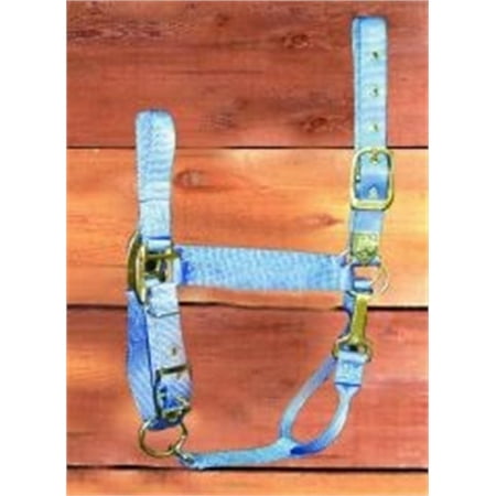 Hamilton 1-Inch Nylon Halter with Adjustable Chin, Berry Blue - Large Size