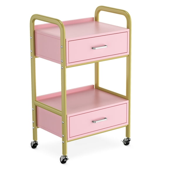 Salon Trolley Cart, Salon Tray Mobile Utility Cabinet with 2 Drawers, Rolling Storage Station Medical Esthetic Supply Holder for Beauty Spa (Pink)