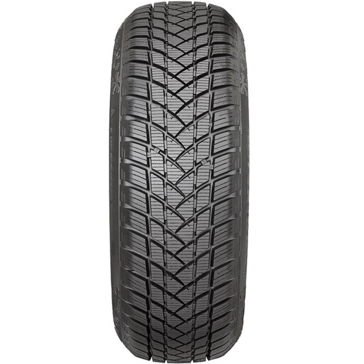 GT Radial Winterpro 2 225/55R16XL 99H Tire