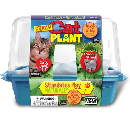 Toys By Nature Miniature Worlds Catnip Terrarium Kit - Indoor Cat Grass Growing Kit with Seeds, Soil, Planter - Crazy Cat Plant Fun Gift for Cat Owners - Easy Grow Pet Safe Indoor Garden Kit