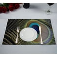 thumbnail image 1 of EREHome Set de 2 Sets de Table Plumes de Paon 12x18 Pouces, 1 of 1