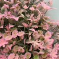 thumbnail image 2 of Christmas Artificial Wreath Realistic - Flower Hanging Wreath Front Door Decor, 2 of 6