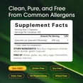 thumbnail image 3 of NatureBell Quercetin 500mg - 300 Capsules - Ultra Strength Supplement for Healthy Immune Support - Quercetin Dihydrate from Sophora Japonica - Bioavailable Form - 150 Servings, 3 of 8