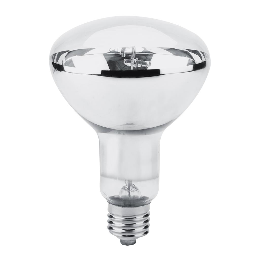 snake light bulb