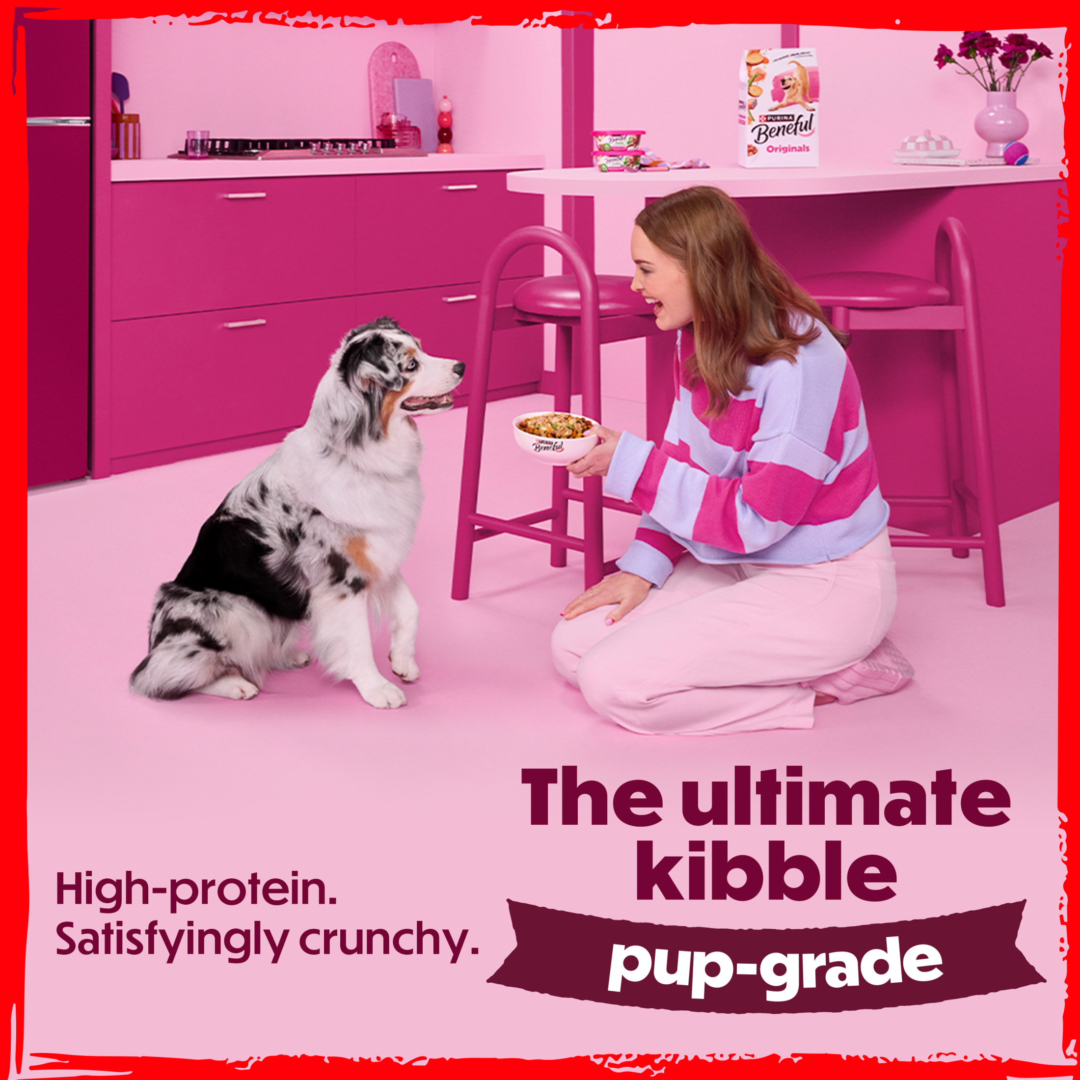 Purina Beneful Originals Salmon Dry Dog Food, 14 lb photo 8