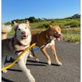 thumbnail image 2 of Dog Coupler 17.5 inches Long, 2 of 7