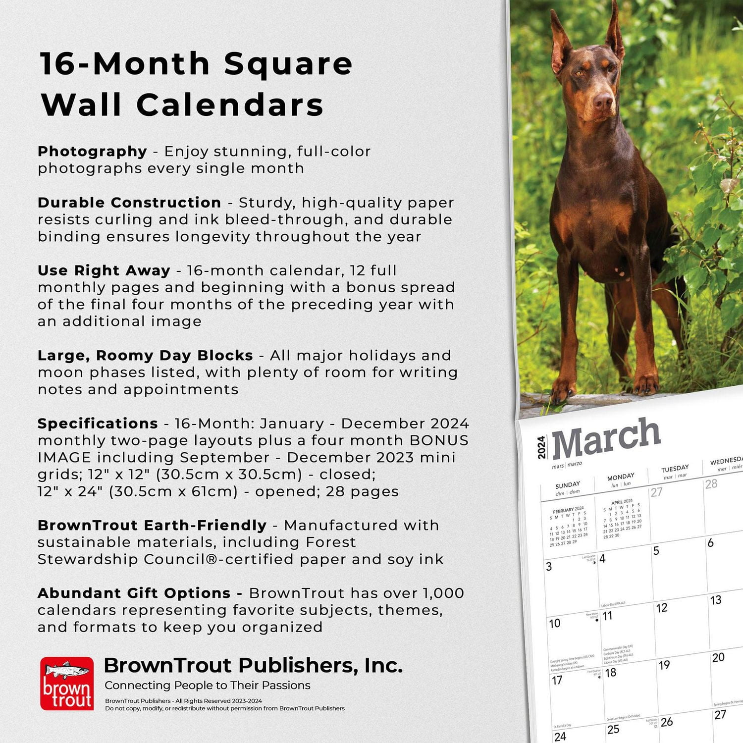 BrownTrout Dobermans 2024 12x24 Inch Square Wall Calendar, 9781975462581