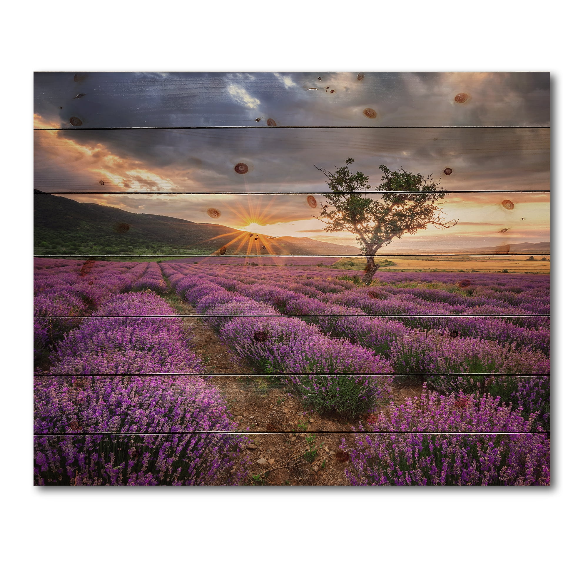 Designart 'Dramatic Clouds and Sunrise Over Lavender Field VIII' Farmhouse Print on Natural Pine Wood