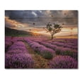 thumbnail image 3 of Designart 'Dramatic Clouds and Sunrise Over Lavender Field VIII' Farmhouse Print on Natural Pine Wood, 3 of 5
