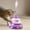 Purple, variant on Cat Toy Interactive Spinner Track Play Set with Balls Exercise Activity Center 20x20cm Multi-Layer Rotating Game for Kittens Boredom Relief Hunting Instinct Stimulation