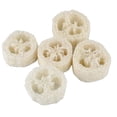 thumbnail image 4 of 5 X Esponja de Cocina de Esponja de Pepino Natural Lavable Luffa SM SunniMix Depurador de esponja de esponja natural, 4 of 8