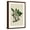 Brown Frame, variant on Art.com Canopy Monkey II Art Print by Naomi McCavitt, 12" x 18"